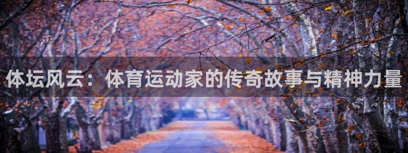 xc体育