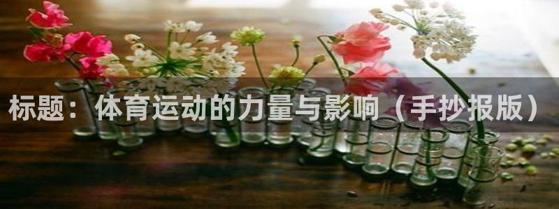 xc体育app官方网站