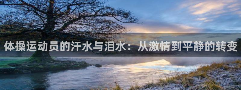 xc体育app官方网站