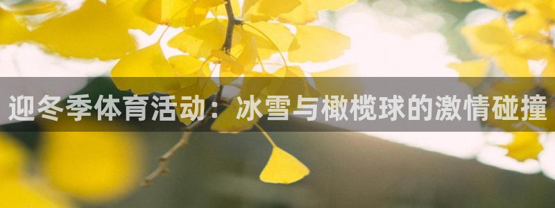 xc体育