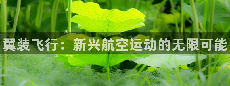 xc体育