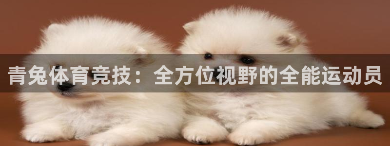 xc体育