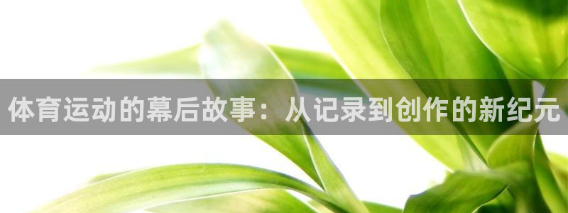 xc体育