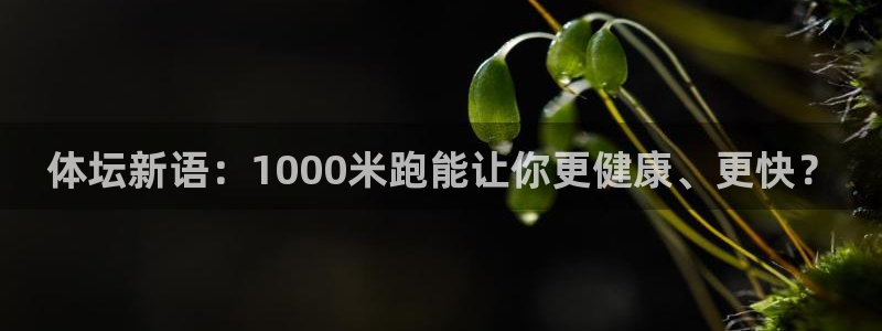 xc体育