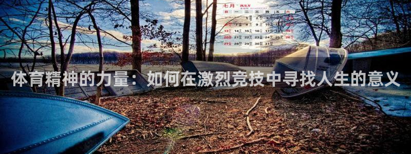 xc体育