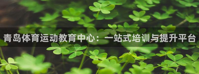 xc体育