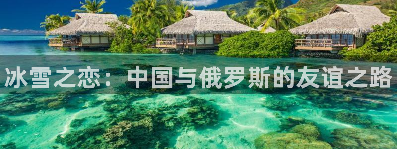 xc体育app官方网站