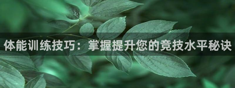 xc体育