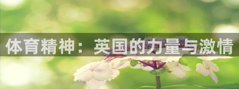 xc体育app官方网站
